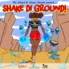 Download track Shake Di Ground