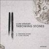 Download track Throwing Stones (Original Mix)