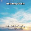 Download track Relaxing Music, Pt. 22