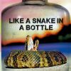 Download track Like A Snake In A Bottle