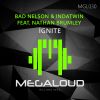 Download track Ignite (Vocal Mix)