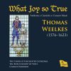 Download track What Joy So True