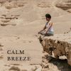 Download track Calm Breeze