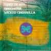 Download track Wicked Cinderella (Groove Mix Tool)