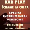 Download track Echame La Culpa (Like Extended Instrumental Mix)