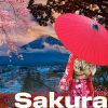 Download track Sakura (Instrumental)