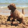 Download track Inner Peace For Pooches