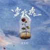 Download track 雪玫瑰 (伴奏)