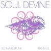 Download track Soul Devine (Beach House Mix Radio Cut)