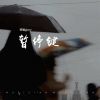 Download track 暂停键 (伴奏)