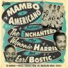 Download track Mambo Boogie