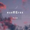 Download track 路边的野花不要采 (伴奏)