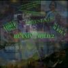 Download track Runnin Wild 2