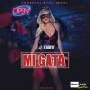 Download track Mi Gata