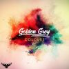 Download track Goldish Grey (Original Mix)