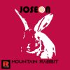 Download track Mountain Rabbit (Radio Edit)