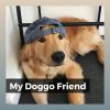 Download track Proud Pet Parent