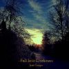 Download track Fall Into Darkness