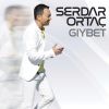 Download track Yarım Gitti