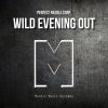 Download track Wild Evening Out