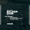 Download track Silver Dub (Time Travel Remix)