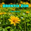 Download track Vornix Zeff