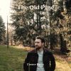 Download track Pinecone