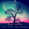 Download track Tree Of The Universe