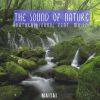 Download track Meditation Of The Forest