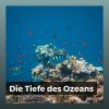 Download track Stille Von Ozean