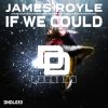 Download track If We Could Original Mix