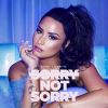 Download track Sorry Not Sorry