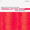 Download track I Wanna Let You Know (Sebb Junior Underground Dub Mix)