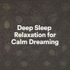 Download track Calm Dreaming Moments, Pt. 15