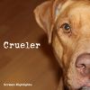 Download track Crueler