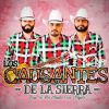 Download track Chiquitita De Mi Vida (En Vivo)