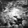 Download track Last Report (Unconformist Remix)