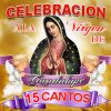 Download track Yo Te Canto Virgencita