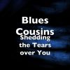 Download track Shedding The Tears Over You