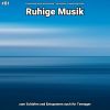 Download track Ruhige Musik Teil 63