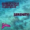 Download track Serenity (Extended Mix)