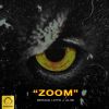 Download track Zoom