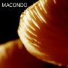 Download track MACONDO