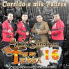 Download track La Guayabita