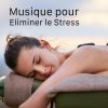 Download track Méditation Musique Relaxante