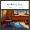 Download track The Morning I Need