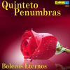 Download track Serenata En La Noche (Instrumental)