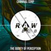 Download track The Oddity Of Perception