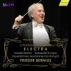 Download track Electra, Scene 4: Der Tempel. Largo - Cantabile Con Espressione