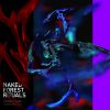 Download track Naked Forest Rituals (Remix)